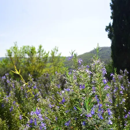 Castle Gaiche Nyaraló *